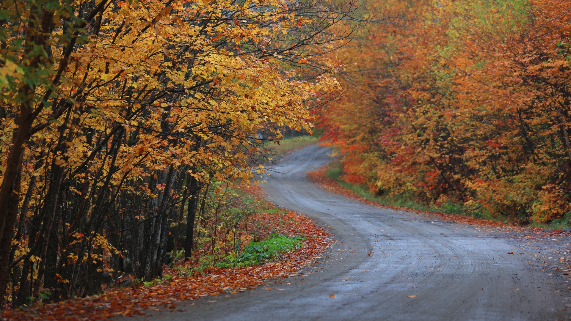 Scenic road through Quebec countryside in autumn time.